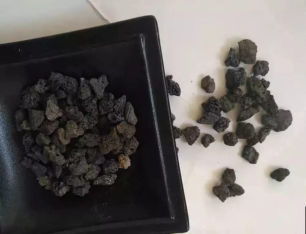 盆里撒一把它，多肉轻松养好，浇水再也不烂根！