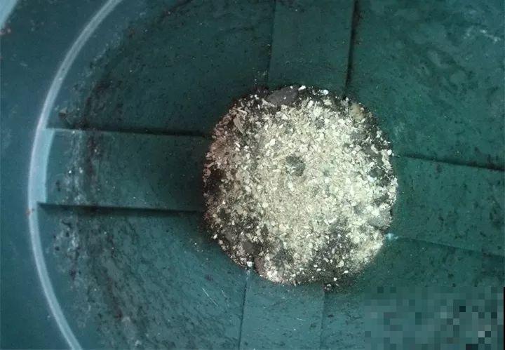 这6种养花底肥，埋一次管用大半年，秋天换盆少不了！