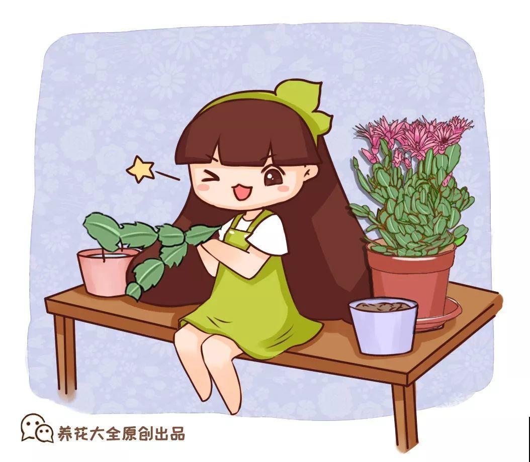 刚冒出来的花苞，被老妈撸去一大半，花竟然越长越好看！