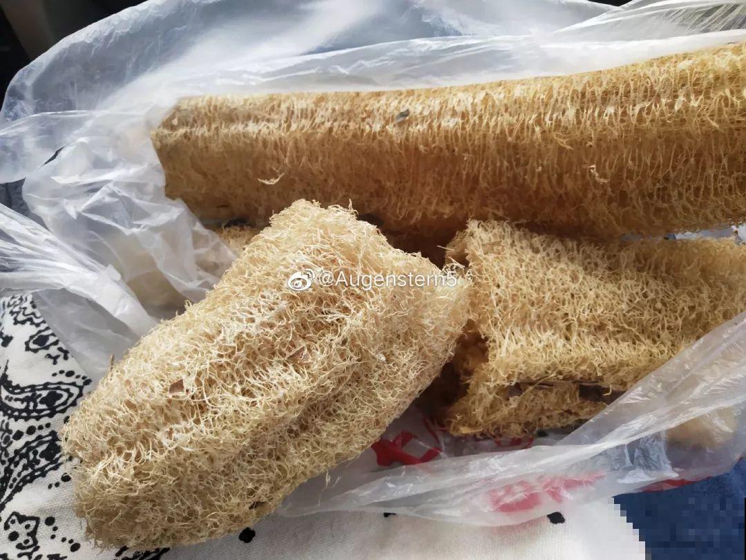 老丝瓜不要丢，剪碎了垫盆底，养花10年不烂根！