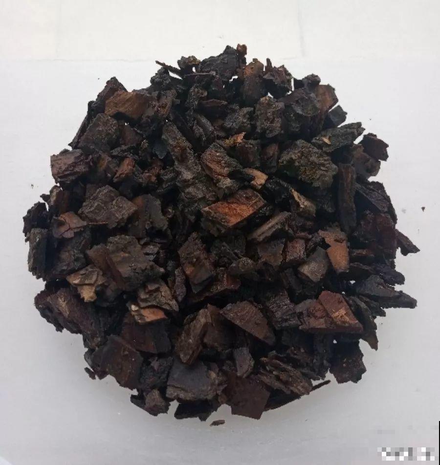 适合冬天养的10种兰花，能一直开到过年，颜值超高有气质！
