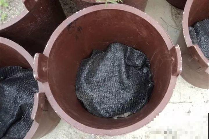 养花就得用粪桶，越养花越壮，不管也能开爆盆！