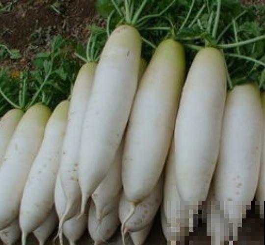 啥蔬菜都吃不起，花样吃萝卜，你们都知道哪些！