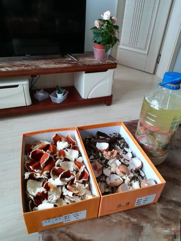 家里这些不值钱的东西不要扔，放花盆里，盆土更肥沃