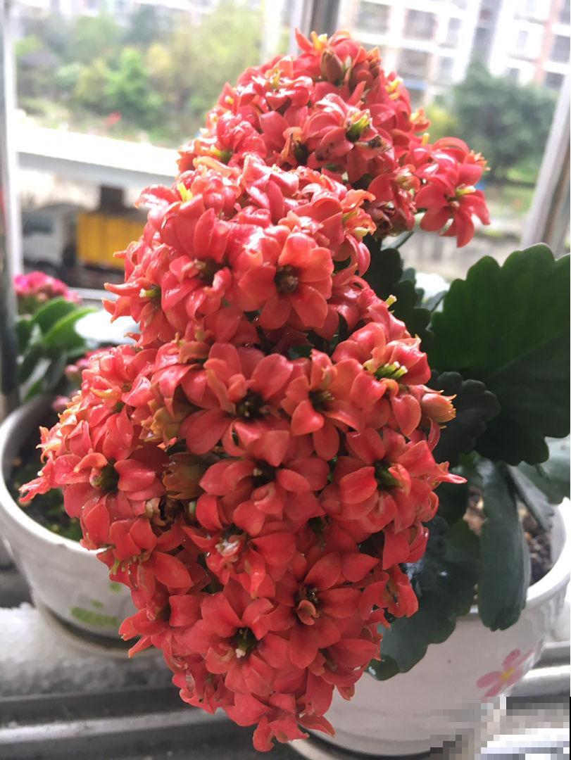盐只用来炒菜？这几个强悍用法赶紧学，又省了不少钱！