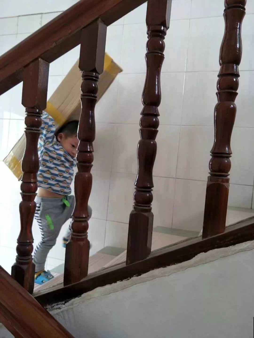 二胎妈妈建花园，一边带娃一边养花，全家人都支持！
