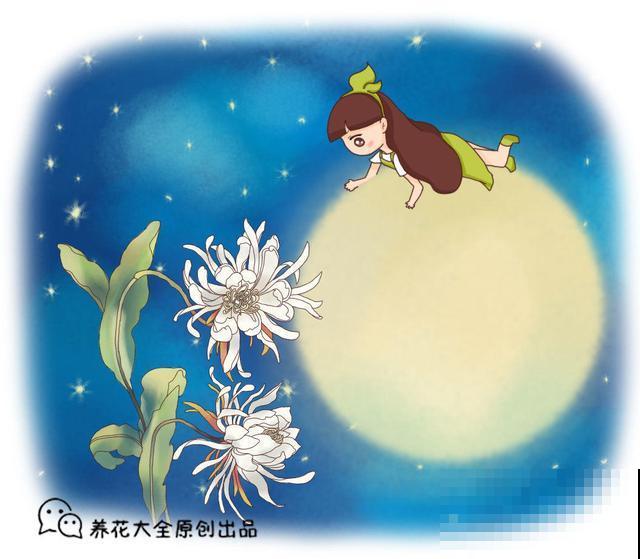 家里植物一年一次的换土，换下的土还有营养价值吗？花农这么处理