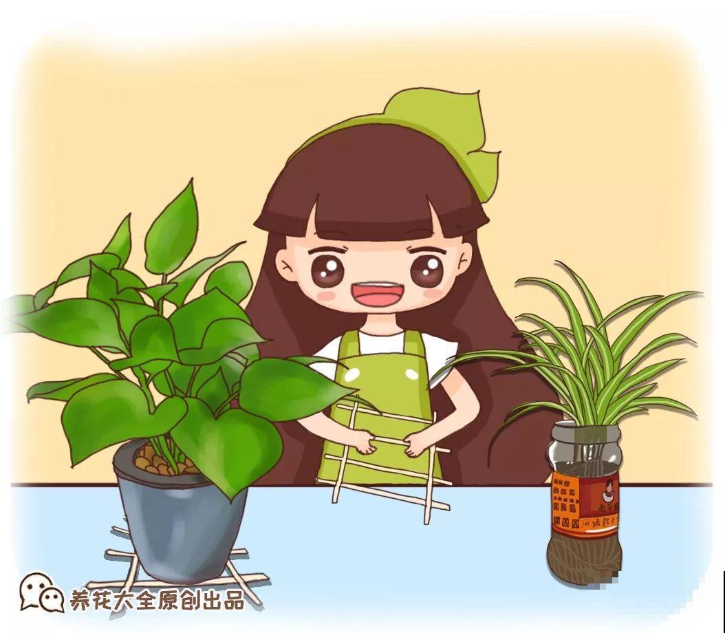 旧筷子先别扔，这样绑一绑，拿来养花有大用处！
