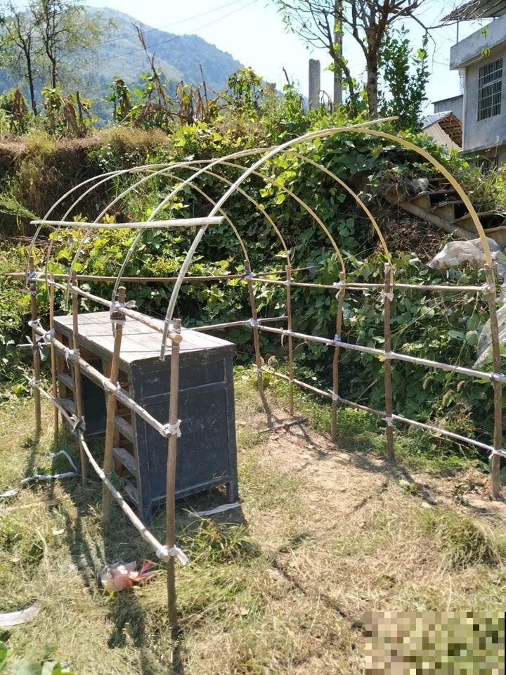 又要开始降温，他给多肉搭了个棚，这下冬天不愁了！