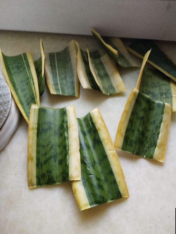 配土的时候加这1种东西，土壤不容易板结，省得再换土