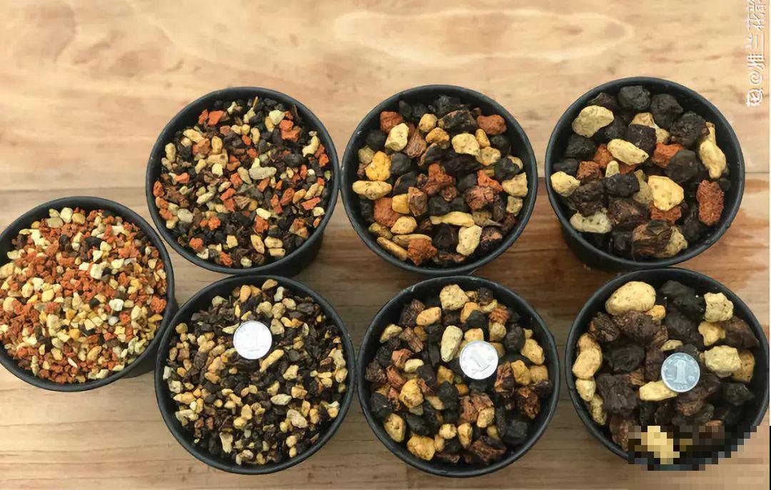 兰花最全养护要点，一年四季绿油油，开花还能香满屋！