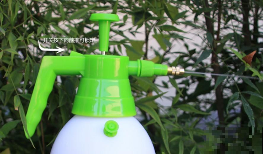 喷雾浇水法？冬季养花不靠他，植物呼呼的往上涨！