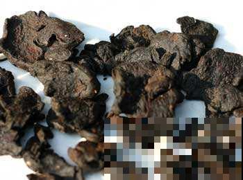 看似普通的野草，其实根部是个宝，最低也要60元一斤！