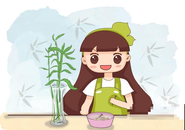 家有富贵竹，教你几点技巧，株型健壮，人见人爱