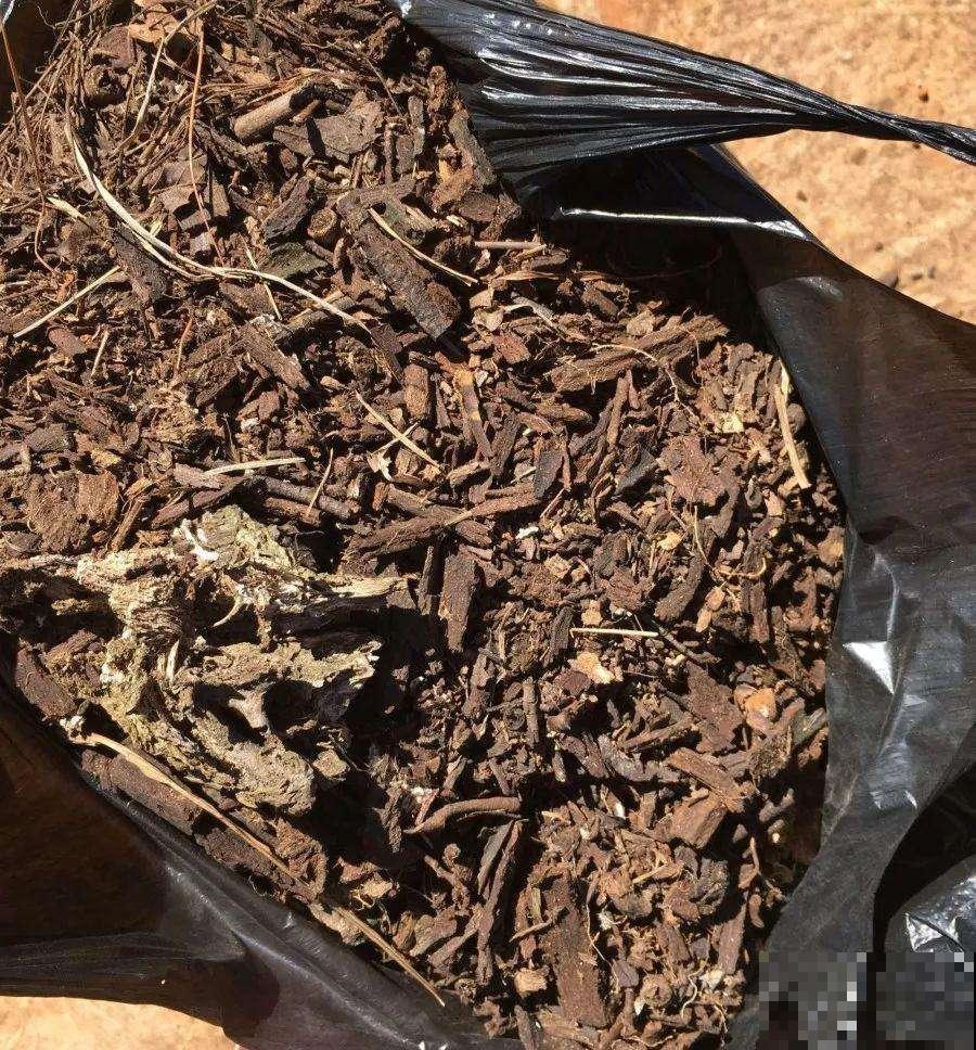 树林捡点这种烂树皮，花盆放几片，花草十年没招过蚊虫病菌！