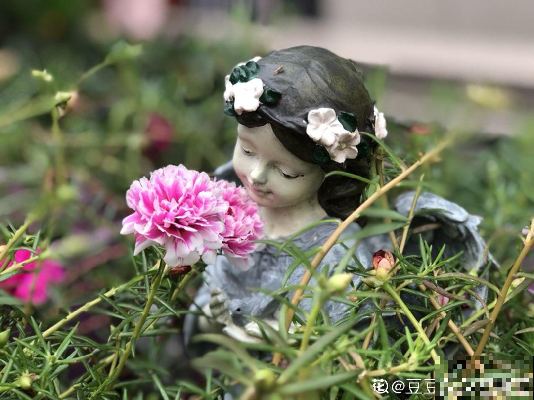 不同季节种不一样的花，这样的院子，才是我心中的世外桃源！