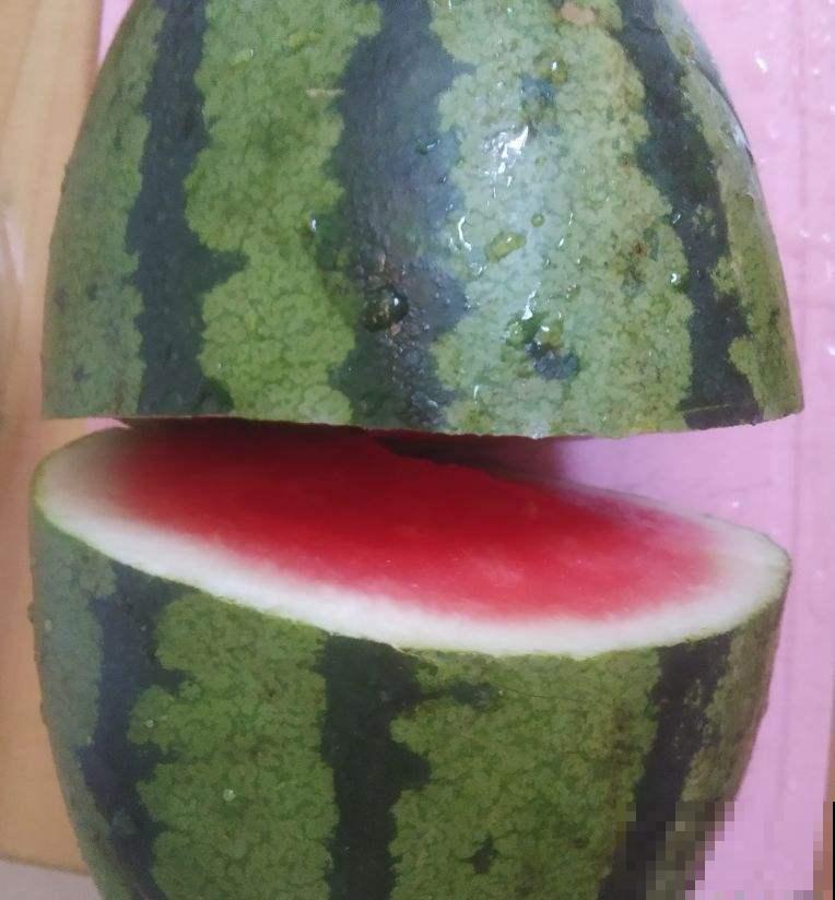 在家种了西瓜，1周就发芽了，可把邻居馋坏了