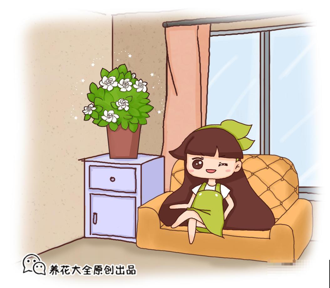 这花太香了，香味都飘到邻居家了，再也不用喷香水