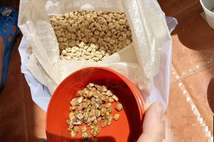 要想多肉种的好，关键配土少不了，16种材料如何选？