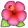这花就得虐着养，套个袋子捂一捂，揭开立马冒花苞！