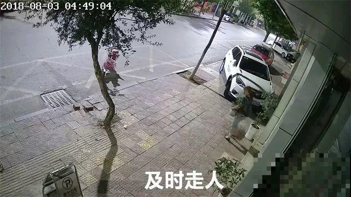 养了两年的宝贝花，大晚上被老太太偷走，太气人！