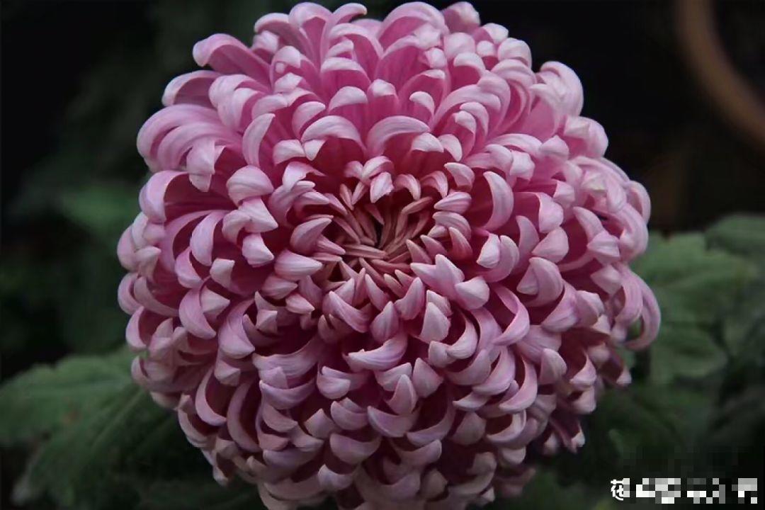 秋天是什么样子呢？只有看过，才能懂它的美！
