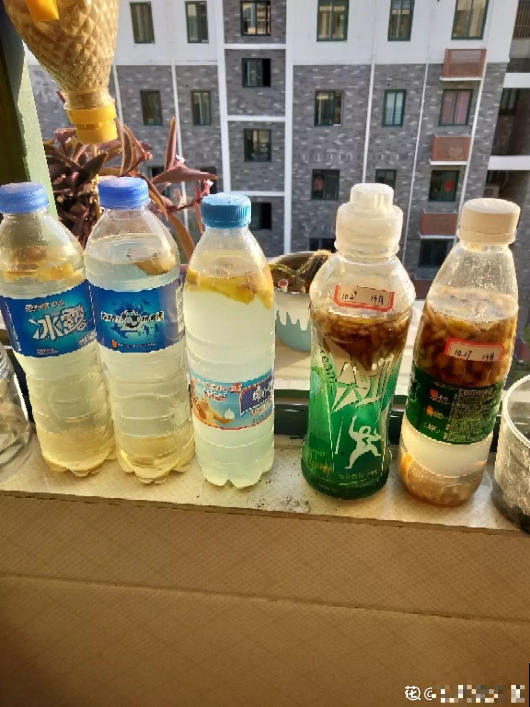 敲个鸡蛋埋土里，吊兰猛蹿个，蹭蹭长成绿瀑布！