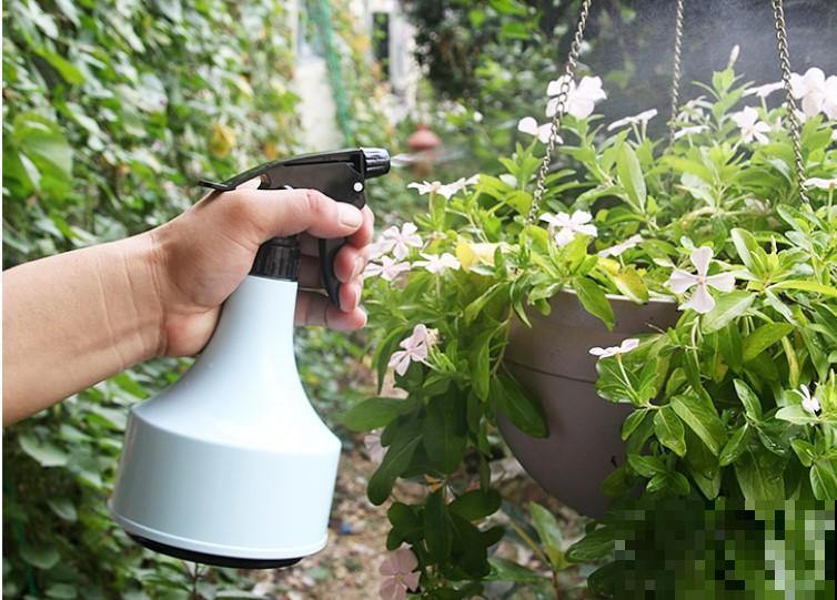喷雾浇水法？冬季养花不靠他，植物呼呼的往上涨！