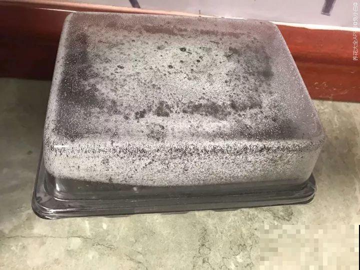 跟着他养多肉，年年不用买，结的种子撒土里就发芽！
