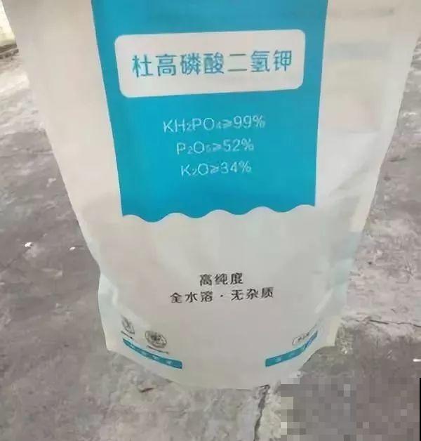 蟹爪兰光长叶子不开花？用它喷一喷，能看一冬天！