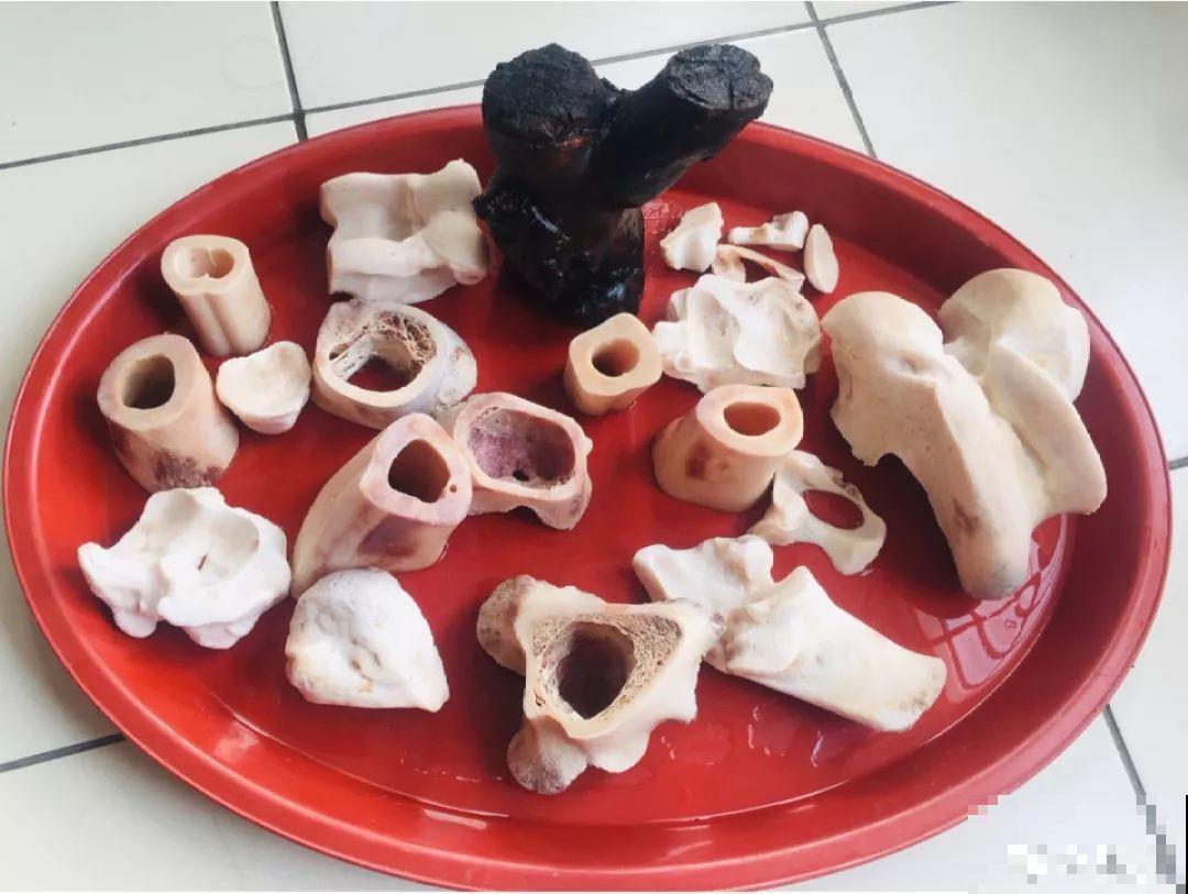 多肉的奇葩种法，这3种花盆家家都有，就看你敢不敢用！