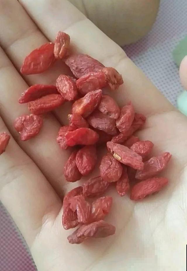 超市买一把枸杞，种盆里变盆栽，10天冒芽，明年就能有果子摘！
