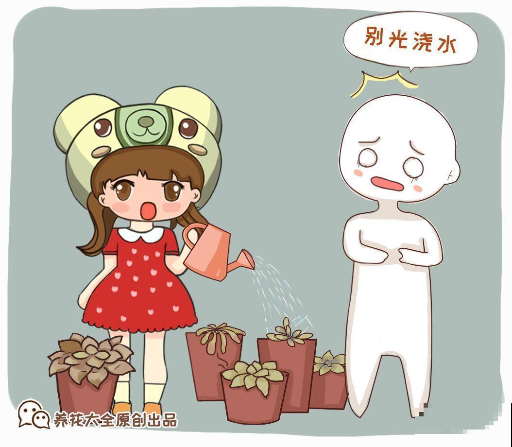 牡丹吊兰这么养，半月就能长爆盆，年年开花不断！