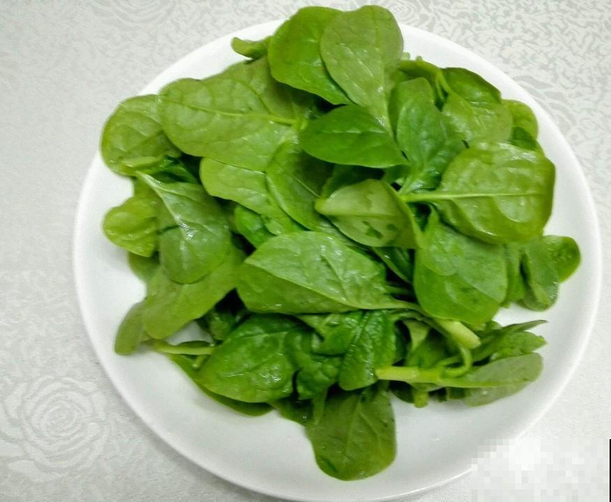 现在种点木耳菜，叶子长的特别快，一茬一茬吃不完！