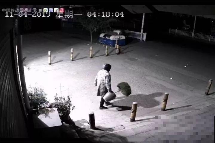 养了两年的宝贝花，大晚上被老太太偷走，太气人！