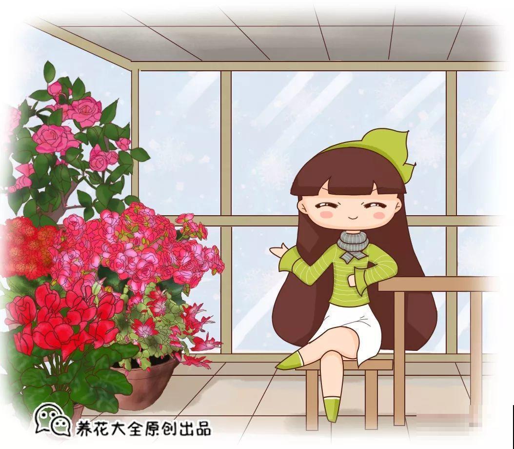 3种花别乱浇水，水越多越不开花，难怪这么多年不见一个花骨朵！