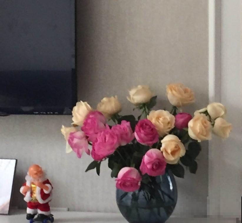 客厅养花养这些，懂花的人都叫好，给自己脸上也涨光！