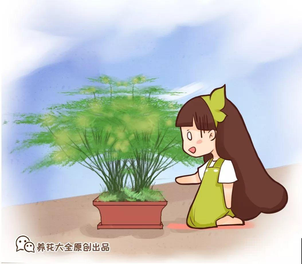 4种花狠心剃光头，剪完就能发新芽，蹭蹭长爆盆！