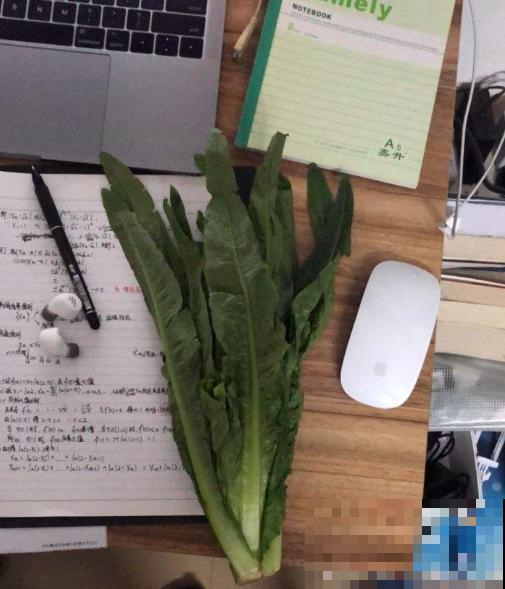 这菜营养多多种植简单，现在撒点种子就能长，再晚就来不及了！