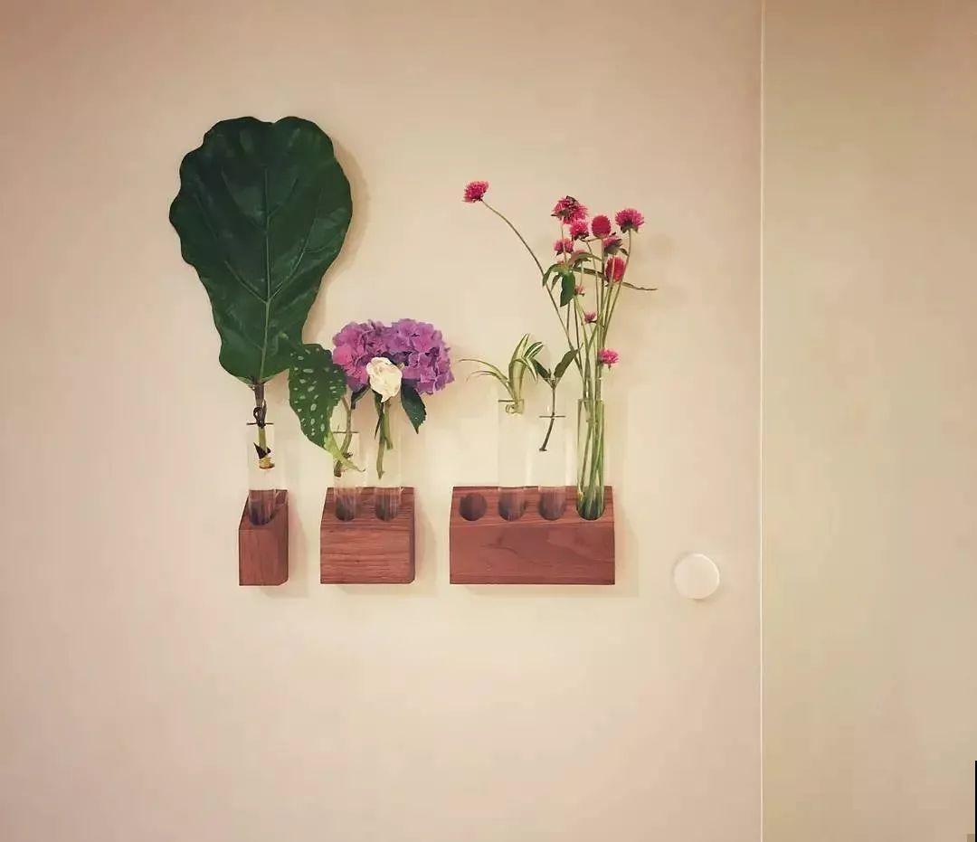 她的家里摆满了花，非但不乱还美得像花园，朋友来了不想走！