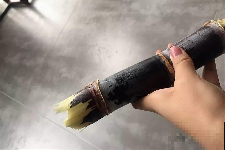 甘蔗棒子插土里，7天冒芽，来年窜到房顶高，吃不完！