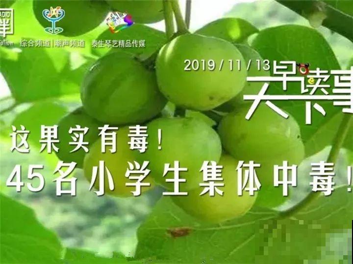 这15种花，别乱碰、别乱吃，家里能不养就不养！
