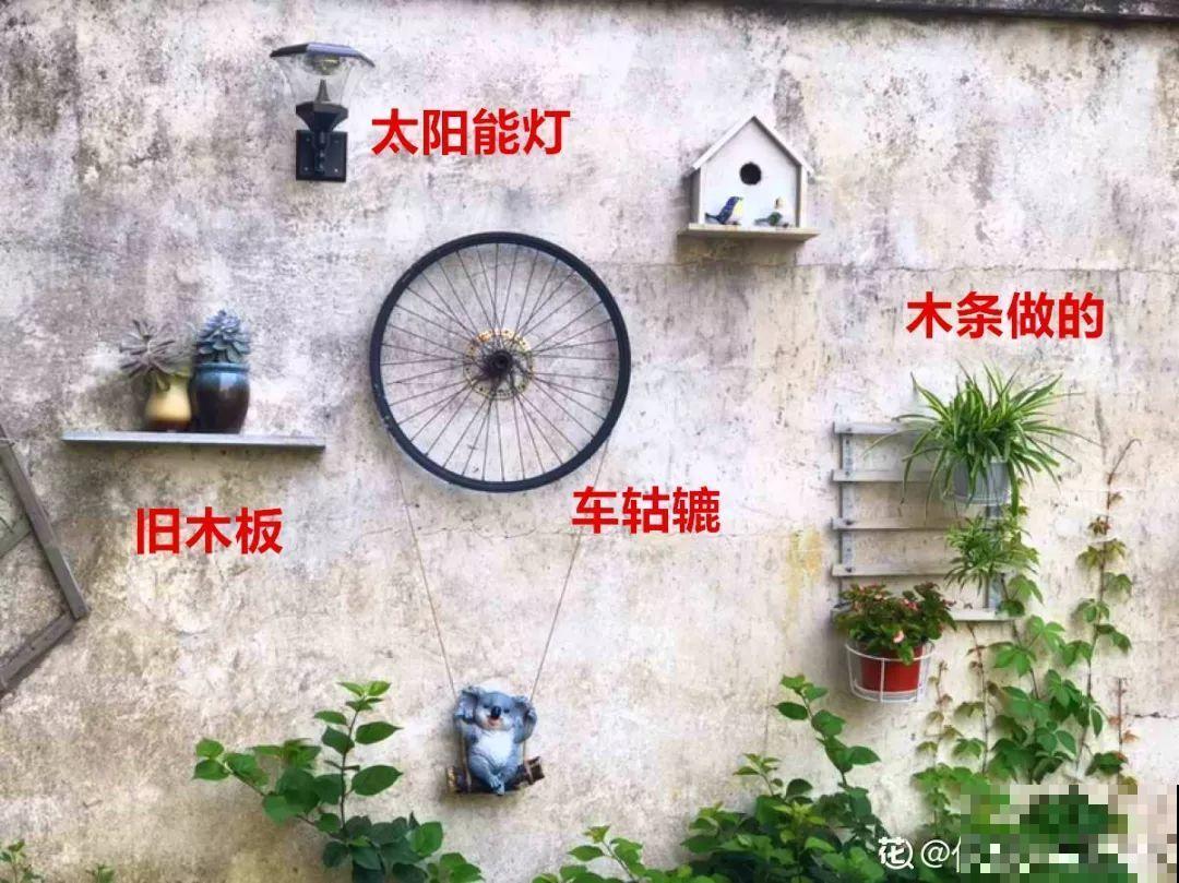 有个小院,养花喂猫,日子越过越充实! 有个小院,养花喂猫,日子越过越充实!