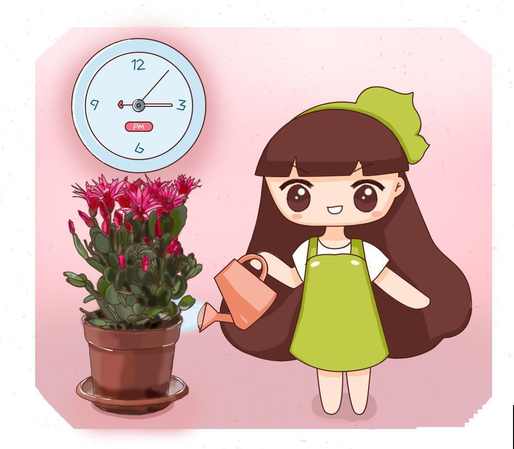 秋冬养花有窍门，注意这几点，养出来的花惊喜多多