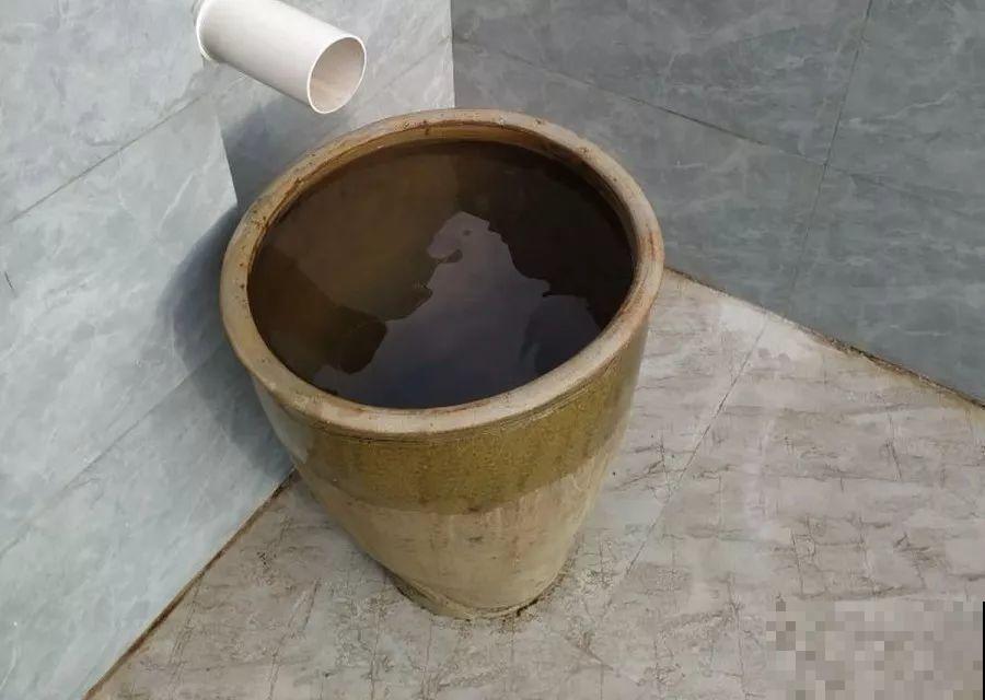秋天给花浇水，记住3句话，安全过冬不烂根！