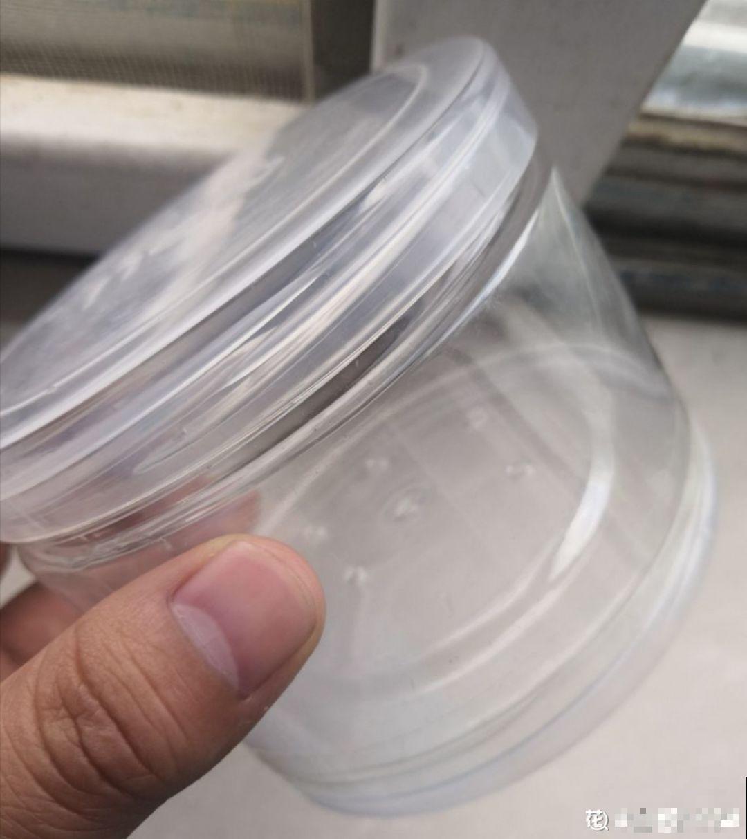 这花就得虐着养，套个袋子捂一捂，揭开立马冒花苞！