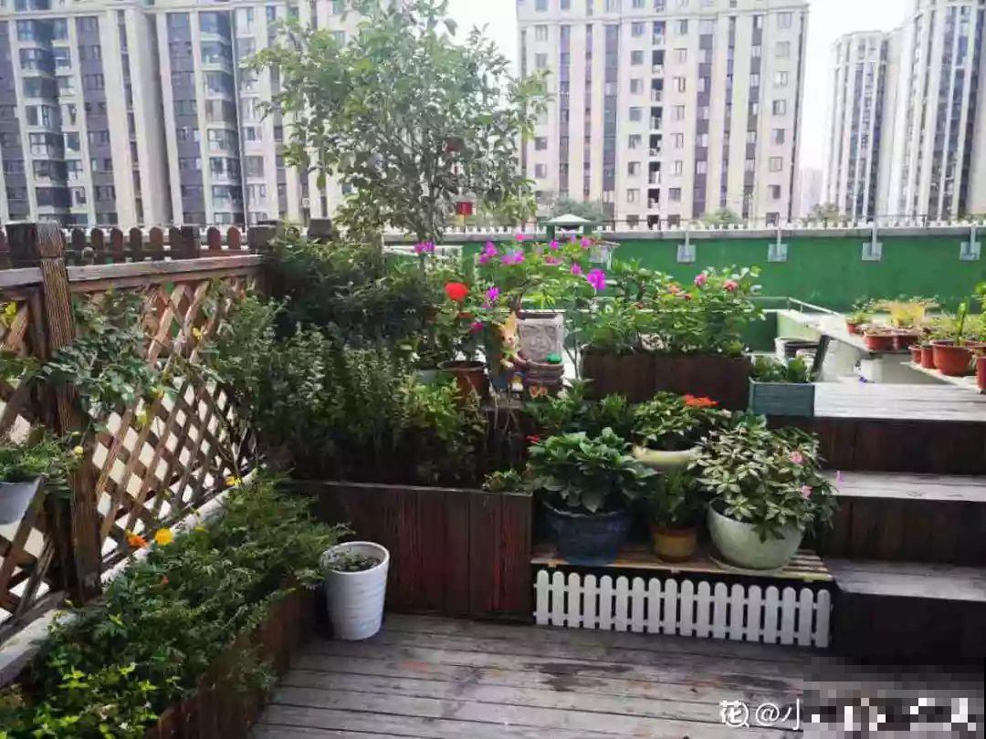 秋天给花浇水，记住3句话，安全过冬不烂根！