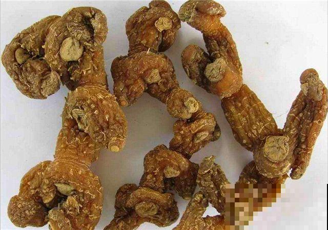 看似普通的野草，其实根部是个宝，最低也要60元一斤！