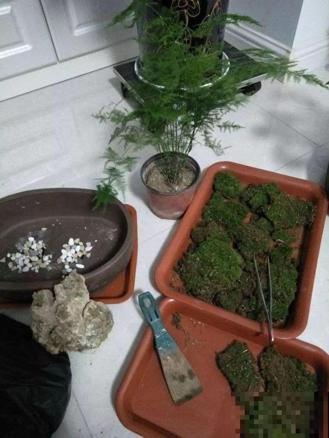 只要敢想，破瓦片也能做成景观，自己DIY比买的还漂亮！