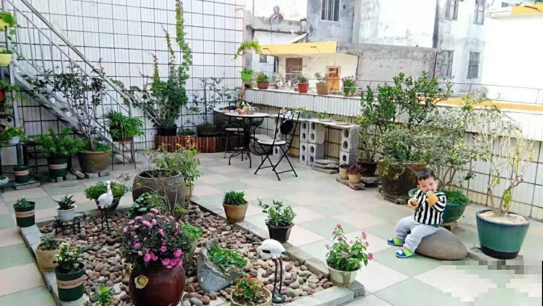 二胎妈妈建花园，一边带娃一边养花，全家人都支持！